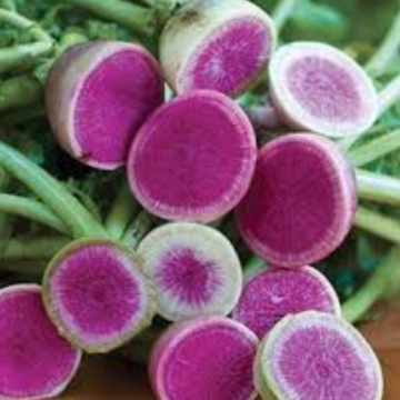 Radish, Watermelon | Pfenning's Organic