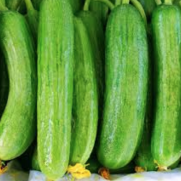 Cucumbers, Mini - 6 Pack | Pfenning's  Ontario Organic