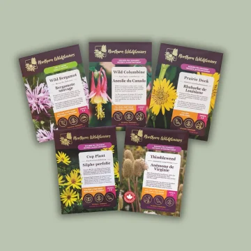 For the Birds Wildflower Seed Collection