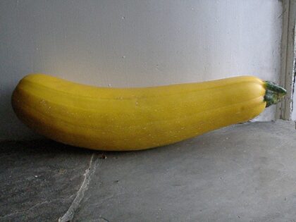Yellow Zucchini - LARGE (Gerber Produce)