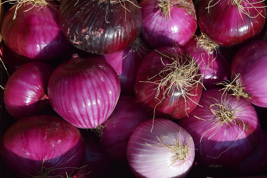 Purple Onions (Gerber Produce) Click Fork