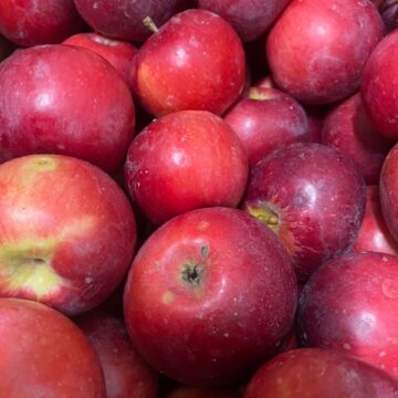 Apples, Mac | Pfenning's Organic