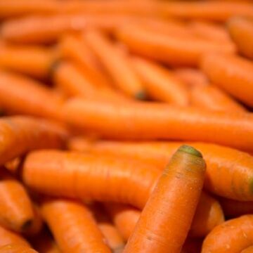 Carrots | Little Thessalon Farm