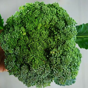 Pfenning's Organic Broccoli (Frozen)