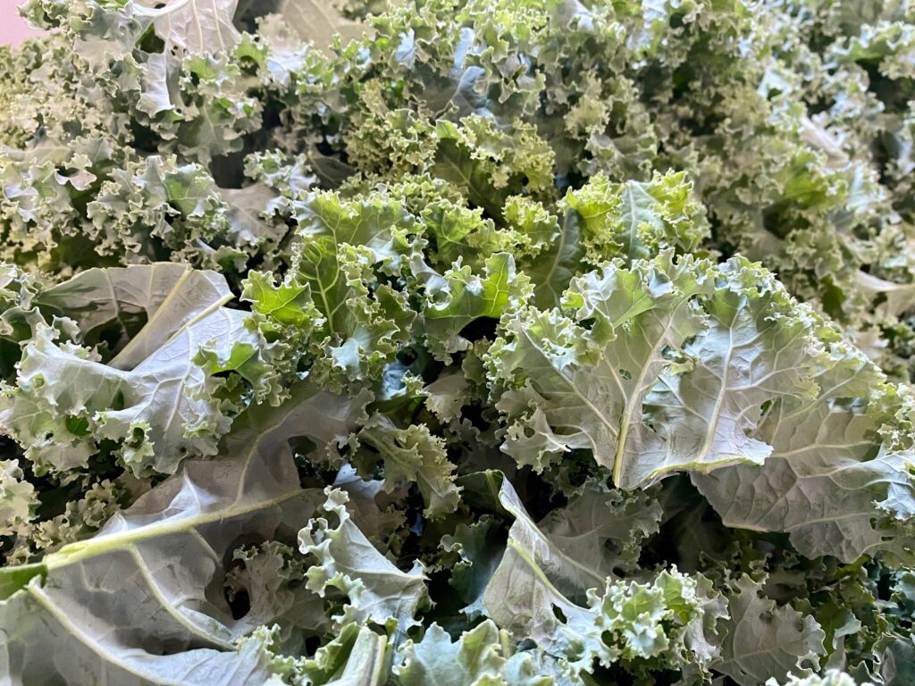 Vacuum packed Frozen Kale Click Fork