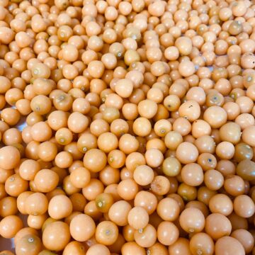 Ground Cherries | Pfenning's Organic