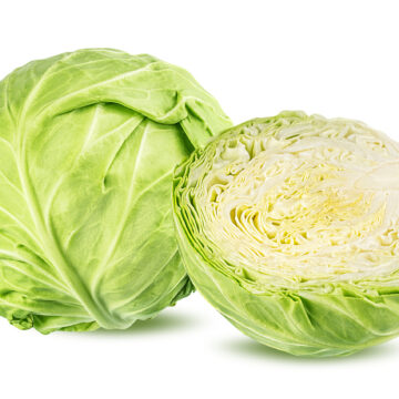 Cabbage, Green Summer | Dalew Farms