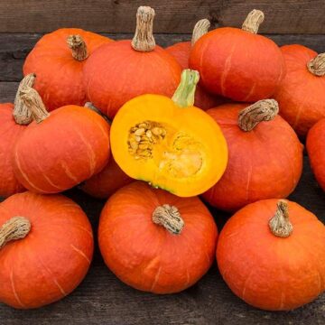 Squash, Red Kabocha | Little Thessalon Farm