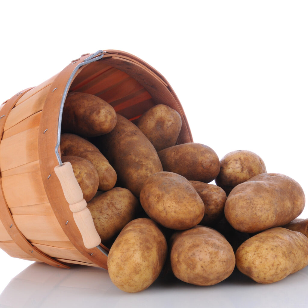 Potatoes, WHITERusset Click Fork