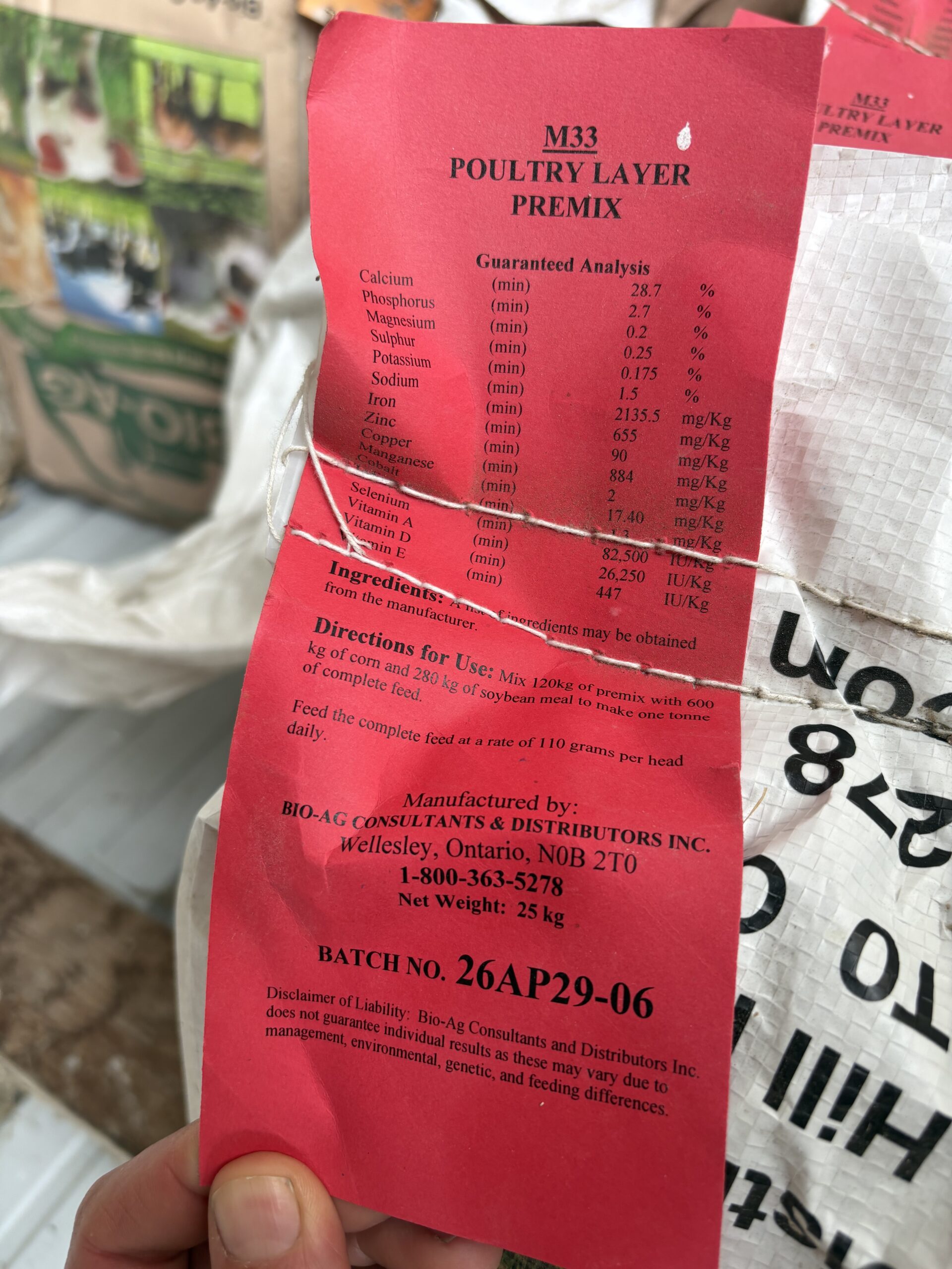 Poultry - Layer Feed - Image 4