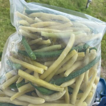 Frozen Beans | Mixed Yellow & Green (Dalew Farms)