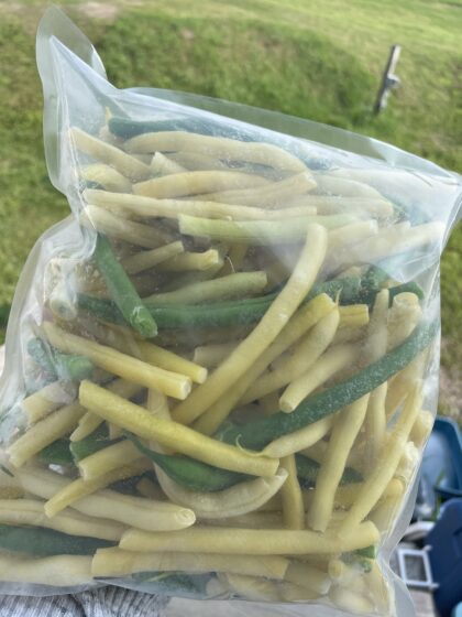 Frozen Beans | Mixed Yellow & Green (Dalew Farms)