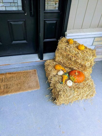 Mini Bales - Image 3