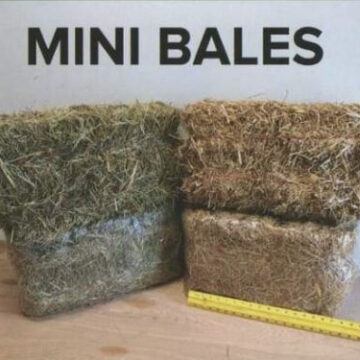 Mini Bales