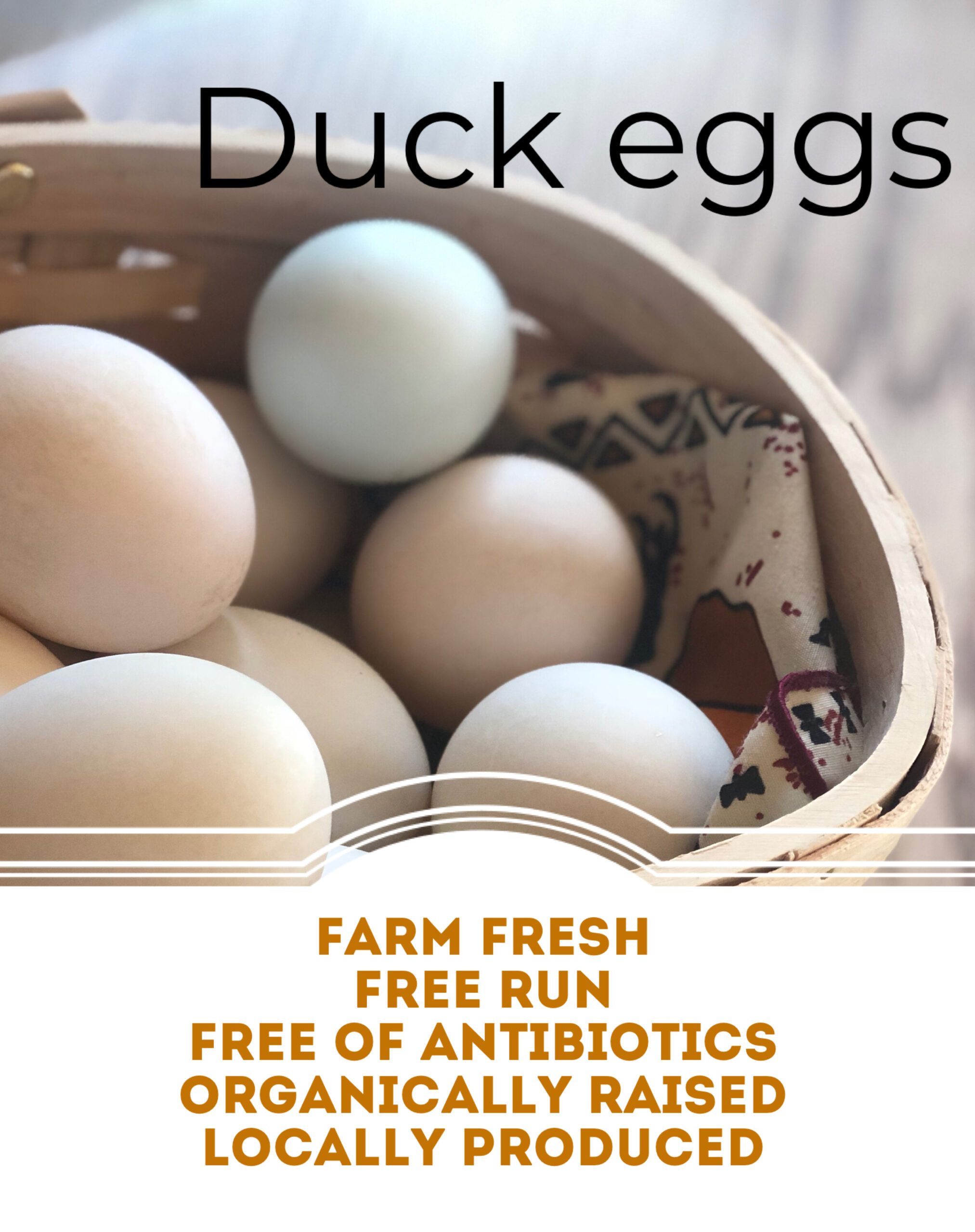 Duck Eggs | Chef's Gardiner