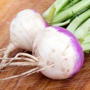 Turnip, Purple Top | Pfenning's Organic