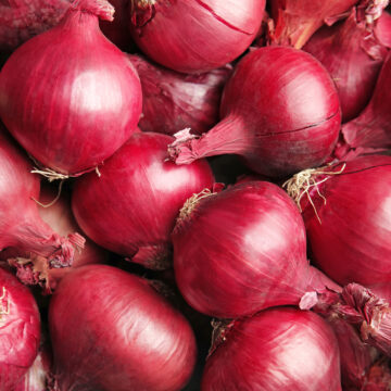 Onions, Red | Little Thessalon Farm