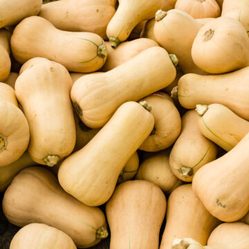 Squash, Butternut | Gerber Produce