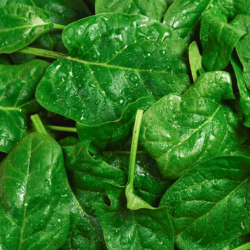 Spinach | Little Thessalon Farm *175g bag