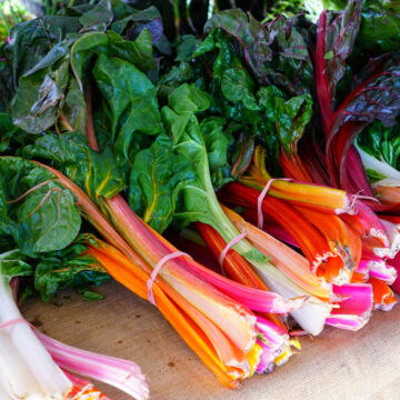 Rainbow Chard | The Steadfast Farm