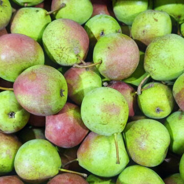 Pears, Summercrisp | Pfenning's Ontario Organic