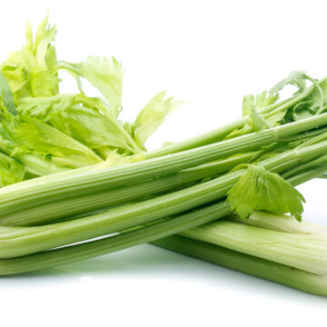 Celery | Pfenning's Organic