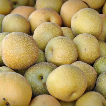 Pears, Asian Kenkoi | Pfenning's Ontario Organic