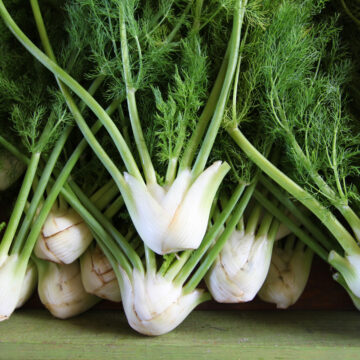Fennel | Pfenning's Ontario Organic