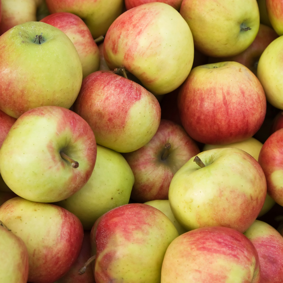 Apples, Jonagold | Pfenning's Ontario Organic