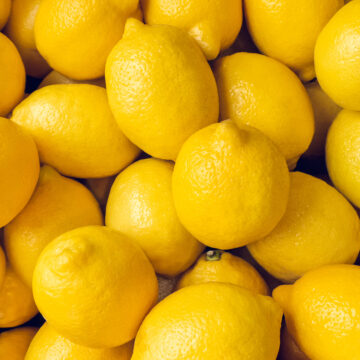 Lemons | Pfenning's Organic - 3 pack