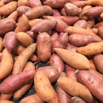 Sweet Potatoes | Pfenning's Organic