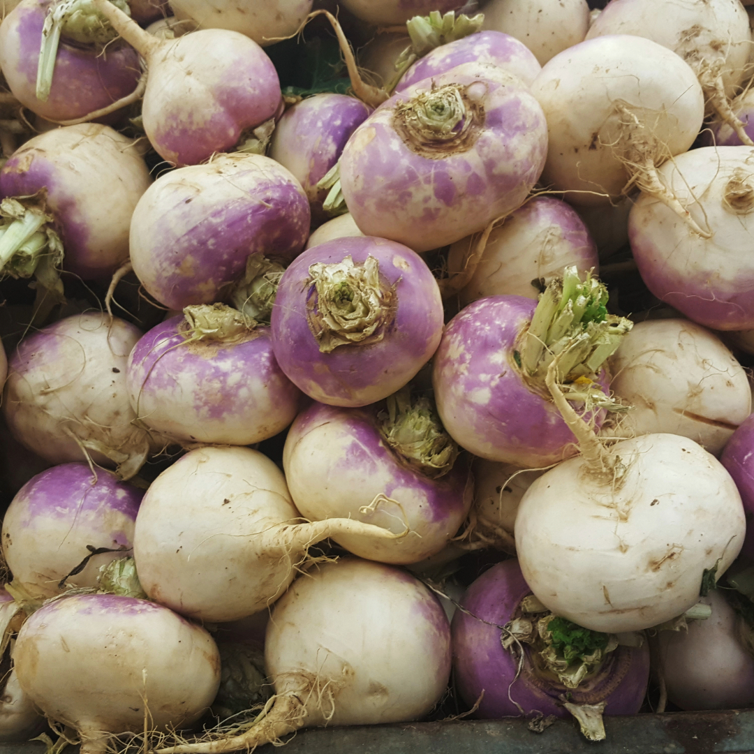 Rutabaga | Pfenning's Ontario Organic - 2LBS