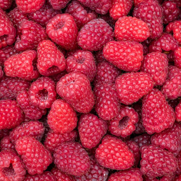 Raspberries | Pfenning's Organic