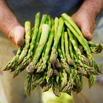 Asparagus | Pfenning's Ontario Organic
