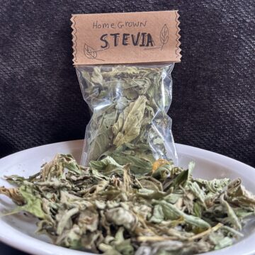 Stevia