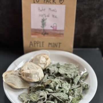 Herbal Tea - Apple Mint -