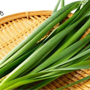 Garlic Chives | Pfenning's Ontario Organic