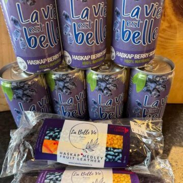 Haskap Berry "Soda" - Unsweetened Sparkling Haskap Juice