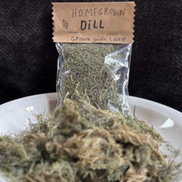 Homegrown Dried Dill