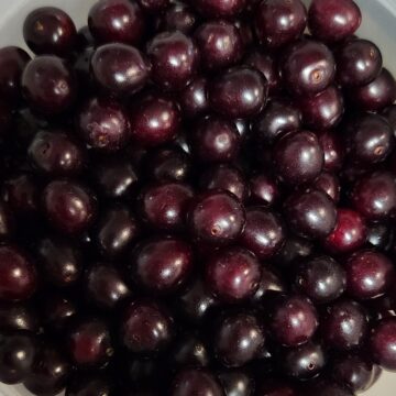 Frozen Chokecherries | The Steadfast Farm