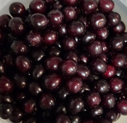 Frozen Chokecherries | The Steadfast Farm