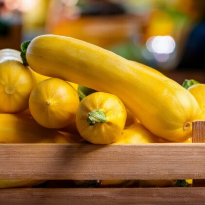 Straightneck Squash | The Steadfast Farm