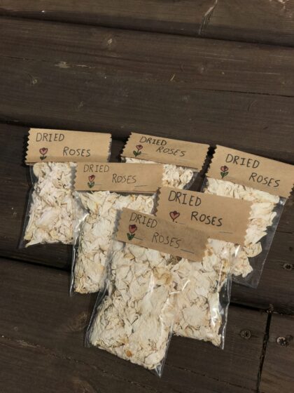 Homegrown Dried White Roses - Image 3