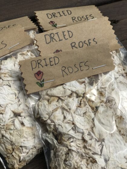 Homegrown Dried White Roses - Image 4
