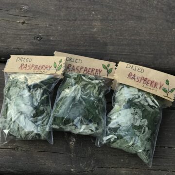 DRIED RASPBERRY LEAFS