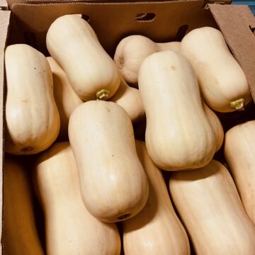 Squash, Butternut | Little Thessalon Farm