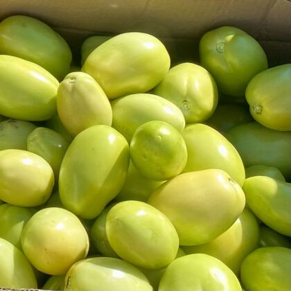 Green Paste Tomatoes | Dalew Farms