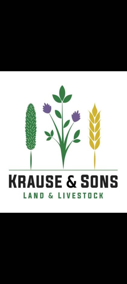 Straw (Full Size Square Bale) | Krause & Sons - Image 2
