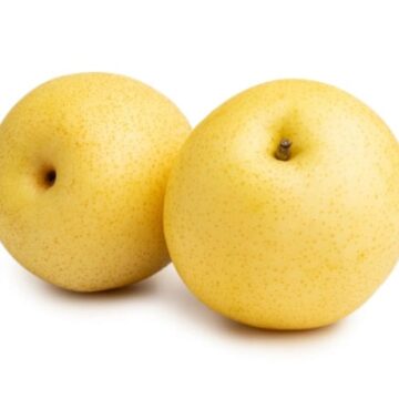 Pears, Asian Shinseiki | Pfenning's Ontario Organic