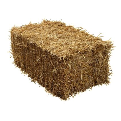 Straw (Full Size Square Bale) | Krause & Sons
